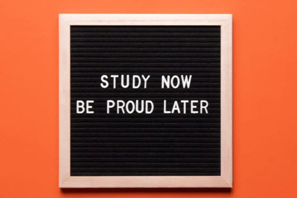 Boost your academic performance with study coaching: the foolproof method to achieve excellence!